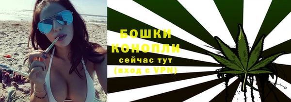 крисы Бугульма